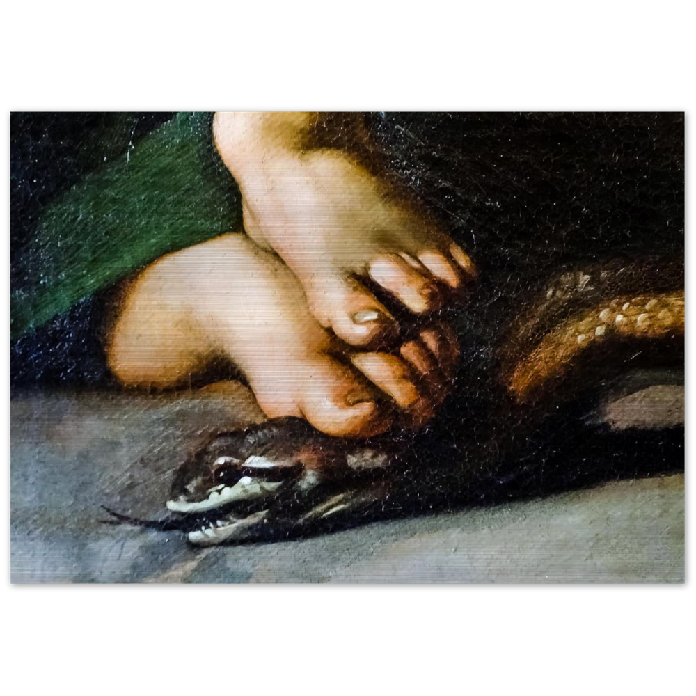 Our Lady tramples on a serpent. Brushed #Aluminum #MetallicIcon #AluminumPrint