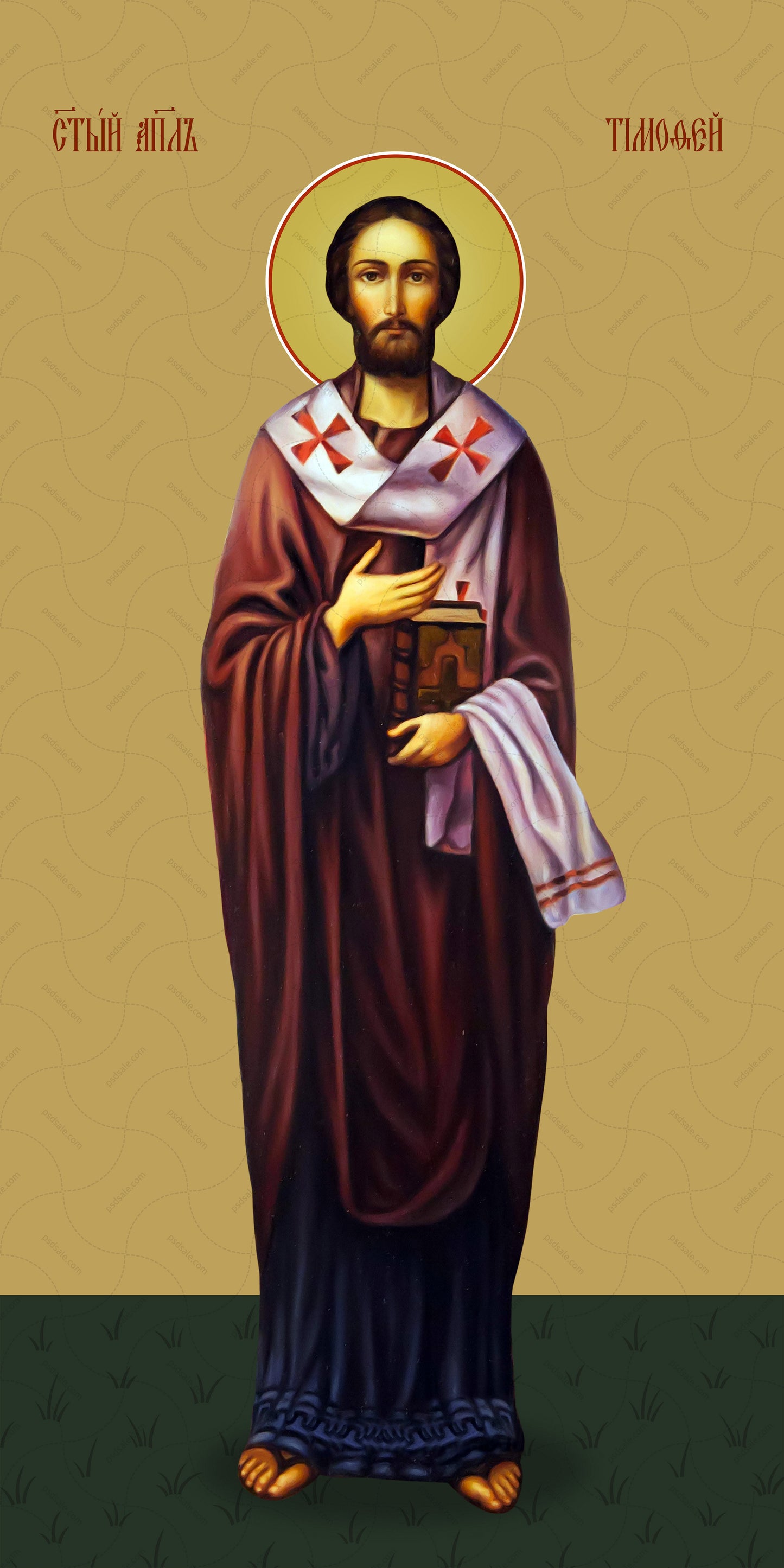 Timothy, holy apostle