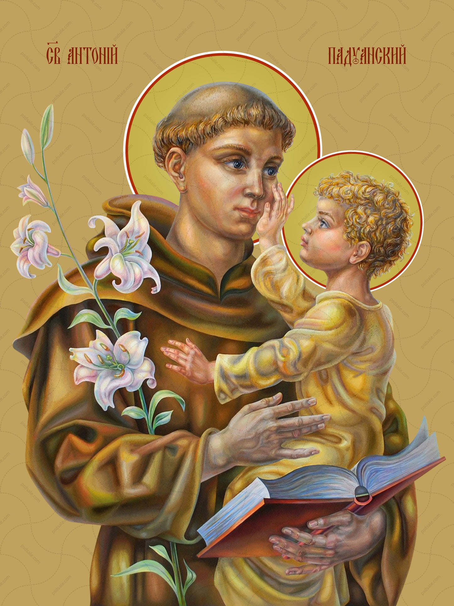 Anthony of Padua, saint