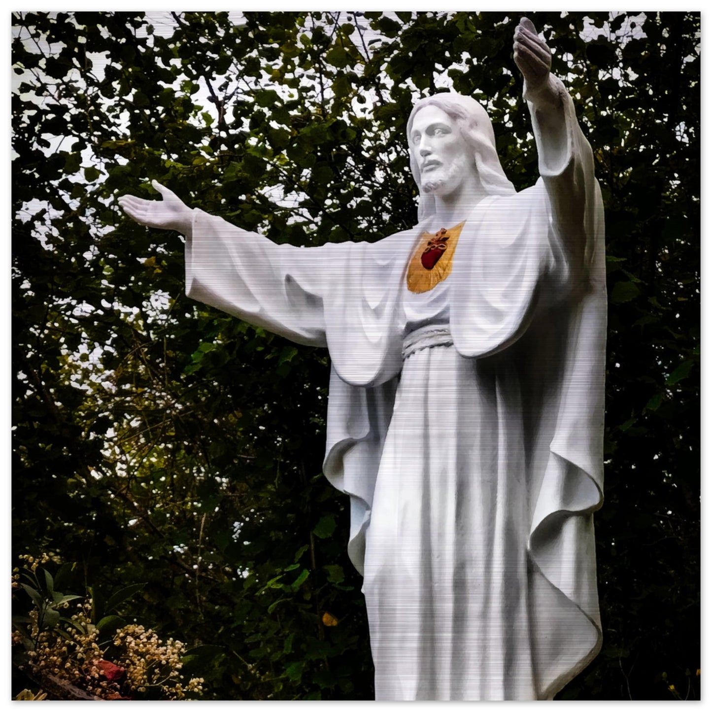 The Sacred Heart in Garabandal Brushed Aluminum Print