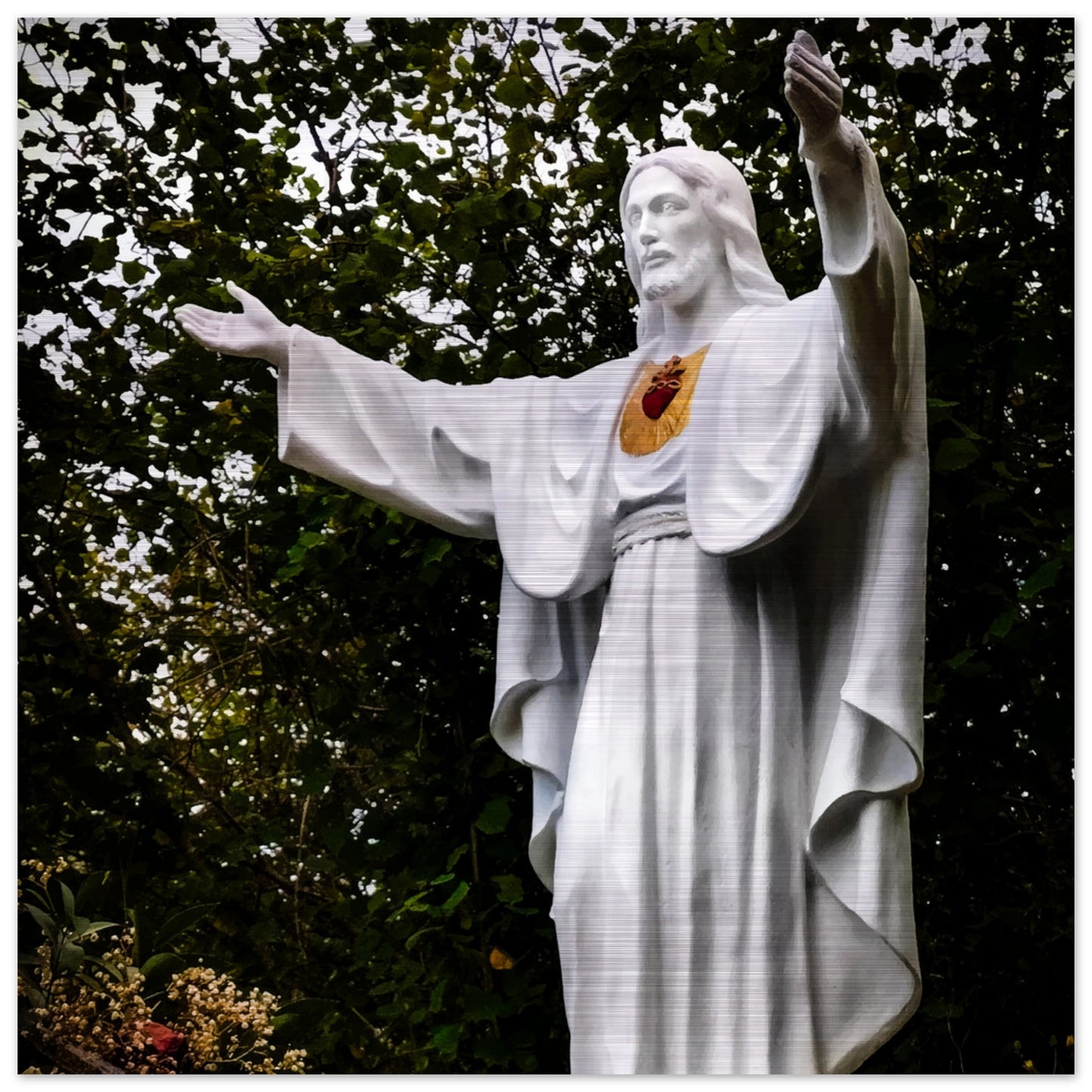 The Sacred Heart in Garabandal Brushed Aluminum Print