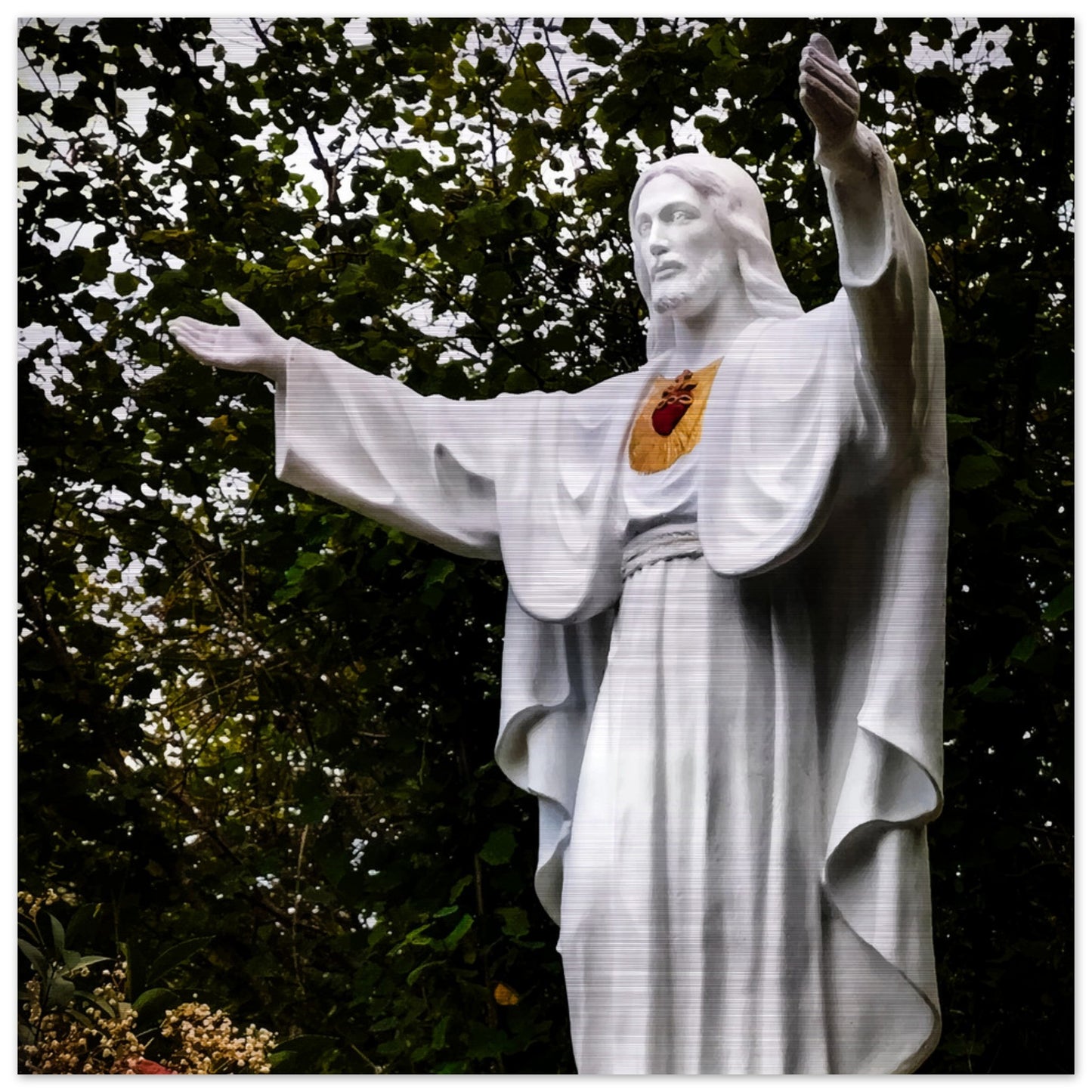 The Sacred Heart in Garabandal Brushed Aluminum Print