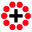 Holy Rosary Team logo