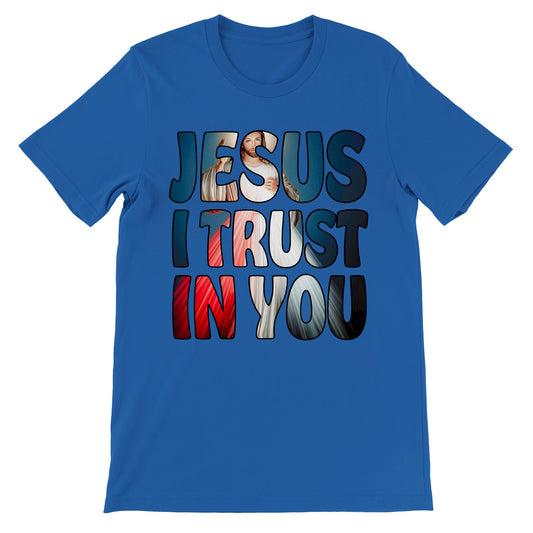 Divine Mercy Jesus I Trust in You  Premium Unisex Crewneck T-shirt