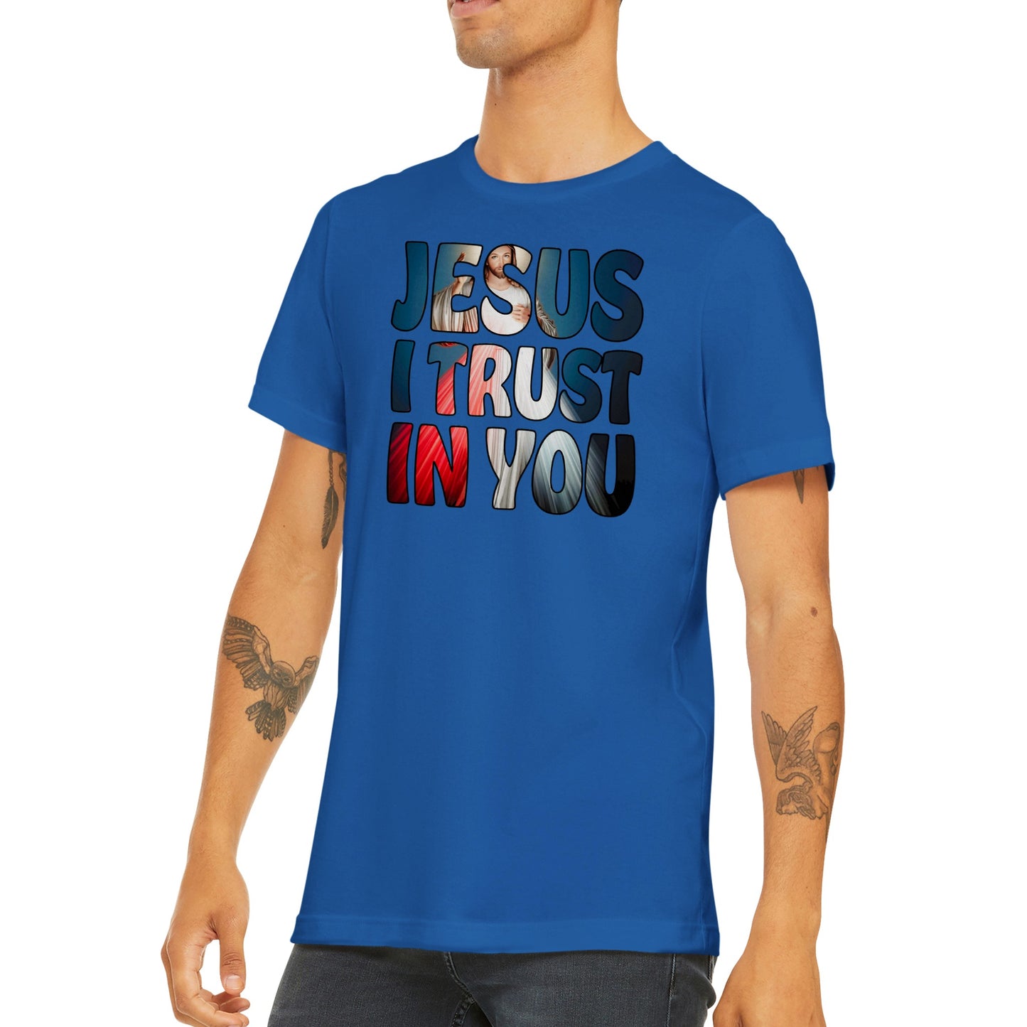 Divine Mercy Jesus I Trust in You  Premium Unisex Crewneck T-shirt