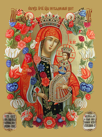 Pearl Print - Icon of the Mother of God - Unfading Color
