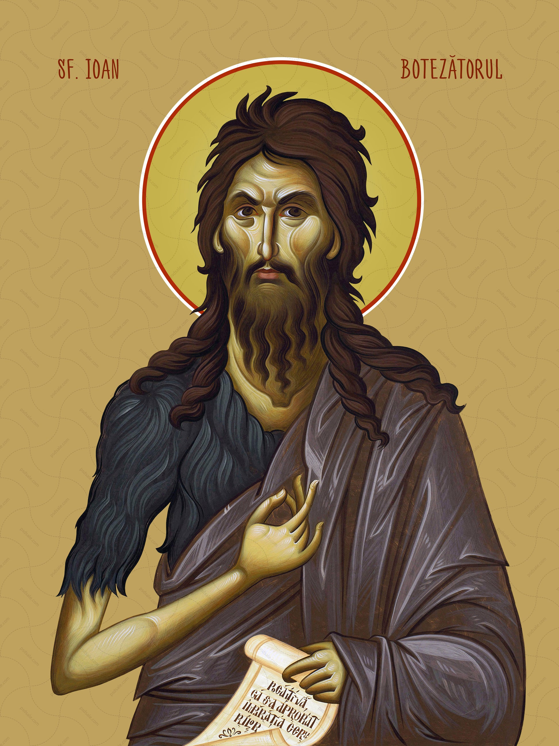 John the Baptist / Sf. Ioan Botez?torul