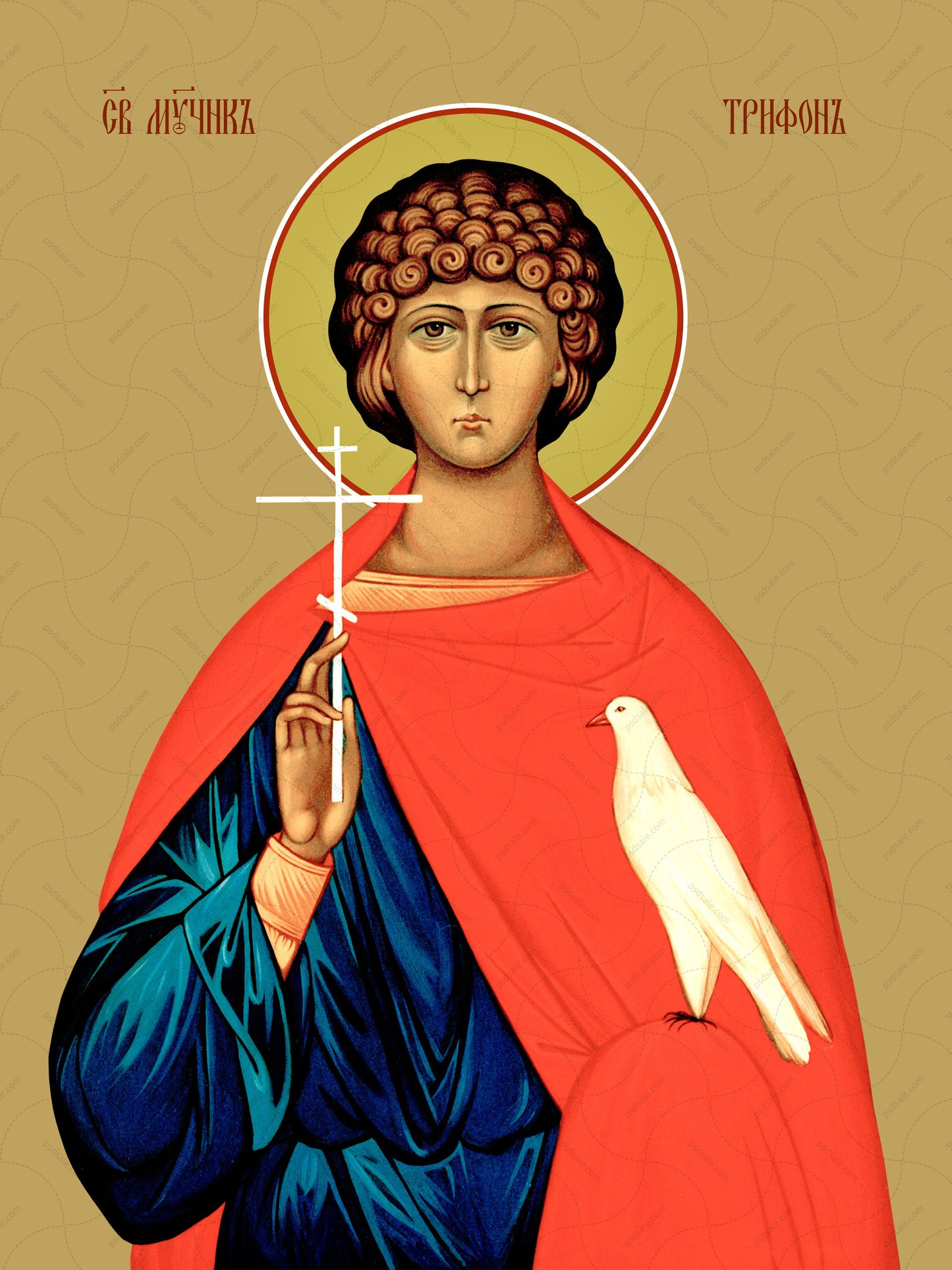 Tryphon of Apamea, martyr