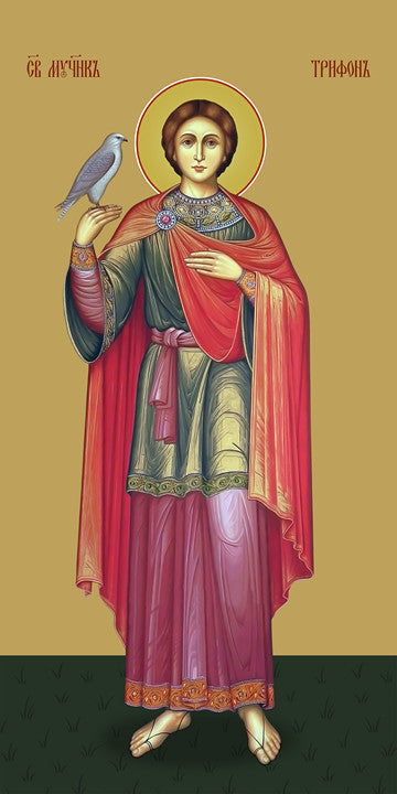 Tryphon of Apamea, martyr