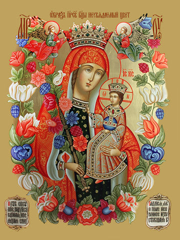 Icon of the Mother of God ÒUnfading ColorÓ